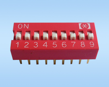 VDG/S-09H-Rܴa_P(gun)