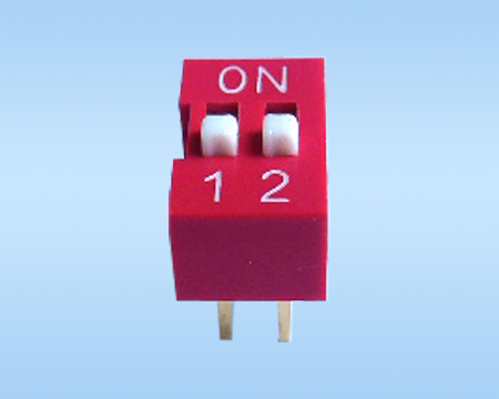 VDG/S-02H-Rܴa_P
